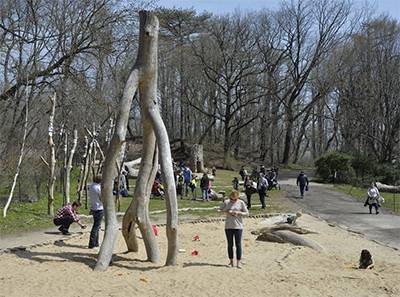 20 Free Kids Activities to do in Brooklyn - Zucker Natural Exploration Area