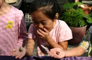 20 Free (seriously) Kids Activities to do in Brooklyn - Updated - June 2017