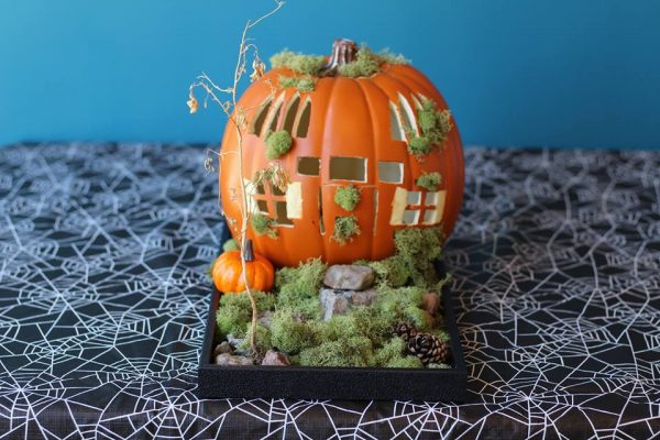 Here is another Pumpkin Picasso Contest entry! Vote for your favorite pumpkin by Liking the post. Here is a quaint pumpkin house created by Brooklyn Oak Dental Care