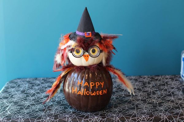 We've got another entry for our Pumpkin Picasso Contest! Vote for your favorite pumpkin by liking the post! Meet Hootie the Owl, created by Premier Pediatrics