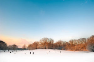 Prospect Park Sledding in Brooklyn